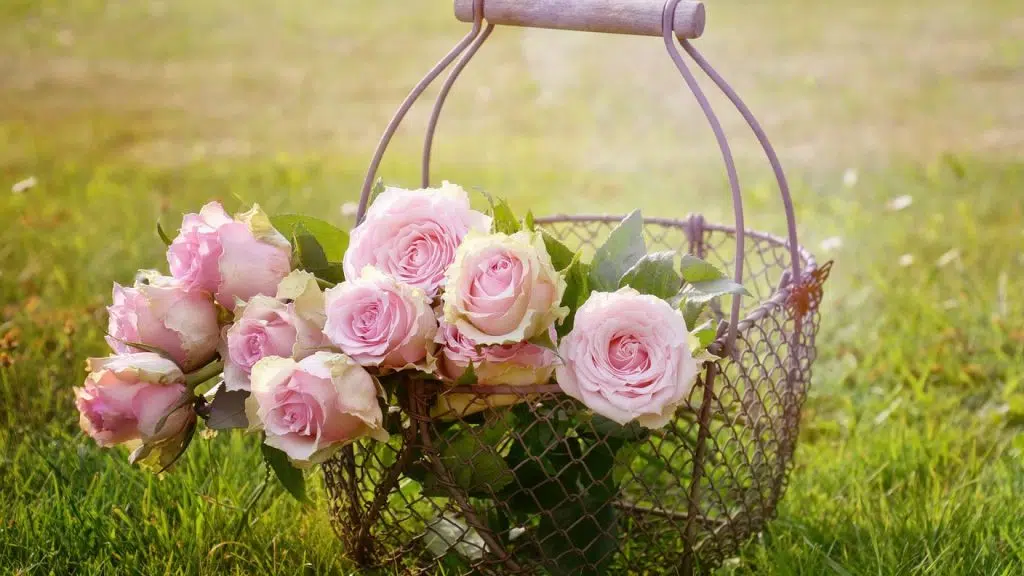 Quelques conseils et idées pour acheter vos bouquets de fleurs